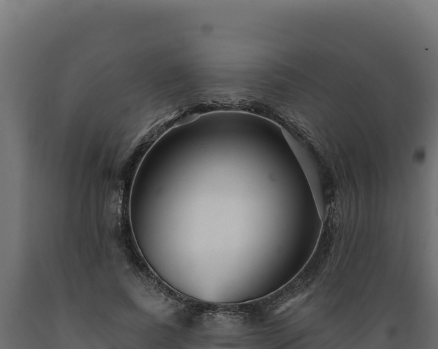 X0000089940739200707061100