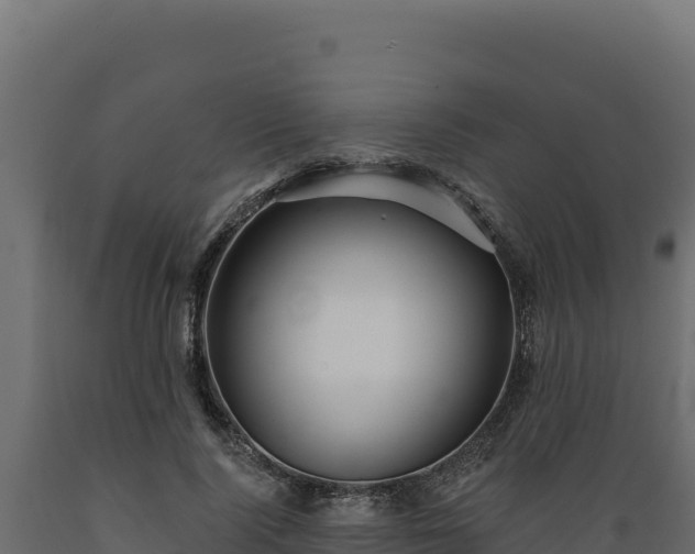 X0000089940740200707061100