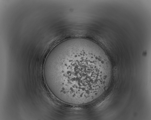 X0000089940741200707061100