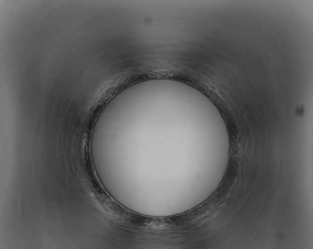 X0000089940742200707061100