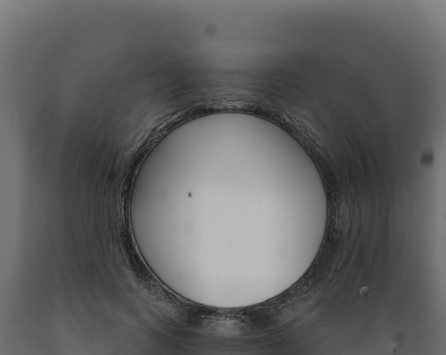 X0000089940743200707061100