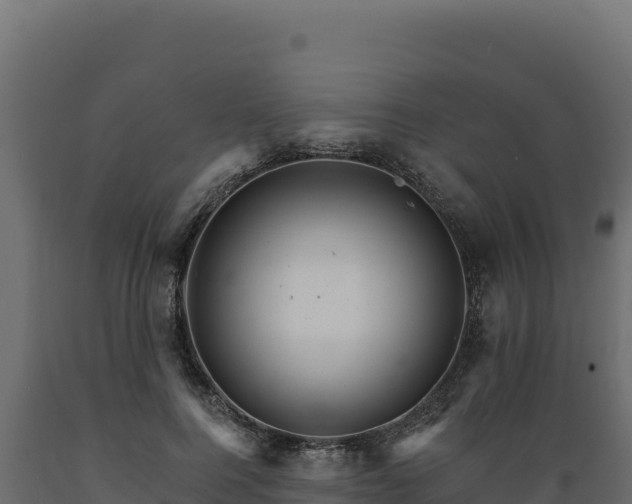 X0000089940744200707061100