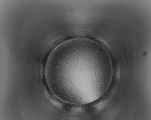 X0000089940745200707061100