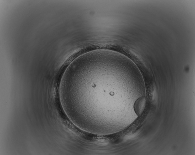 X0000089940746200707061100