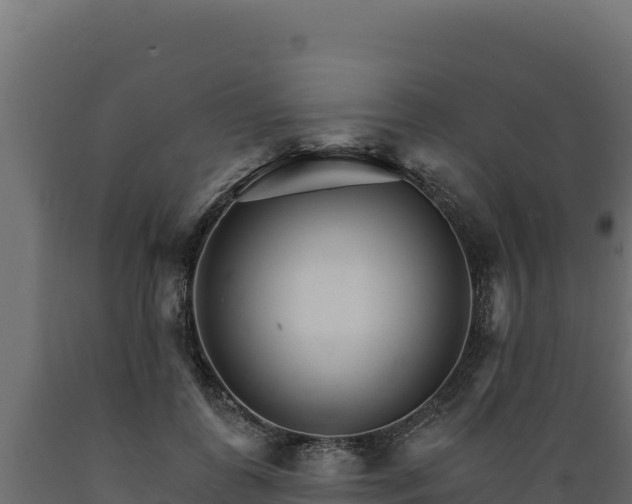 X0000089940747200707061100