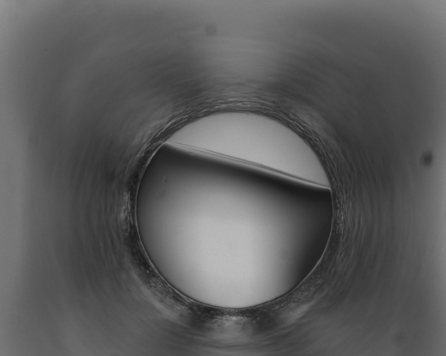 X0000089940748200707061100