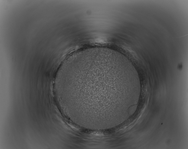 X0000089940749200707061100