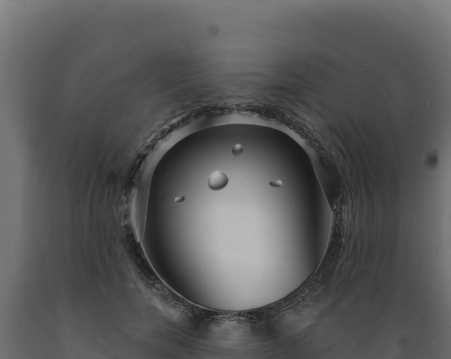 X0000089940750200707061100