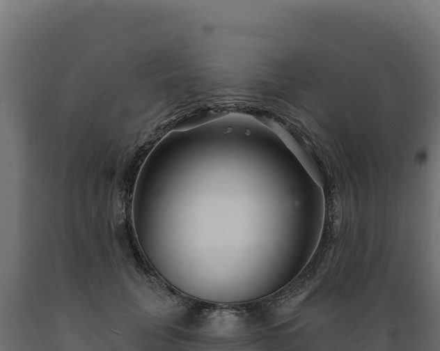 X0000089940751200707061100