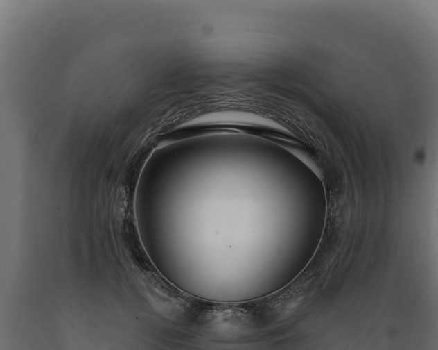 X0000089940752200707061100