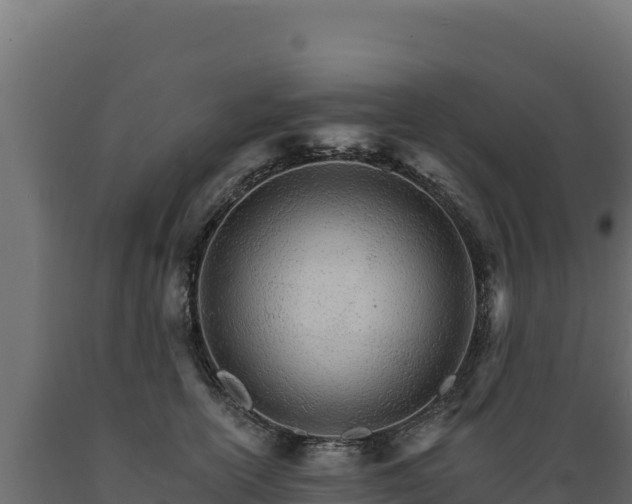 X0000089940754200707061100