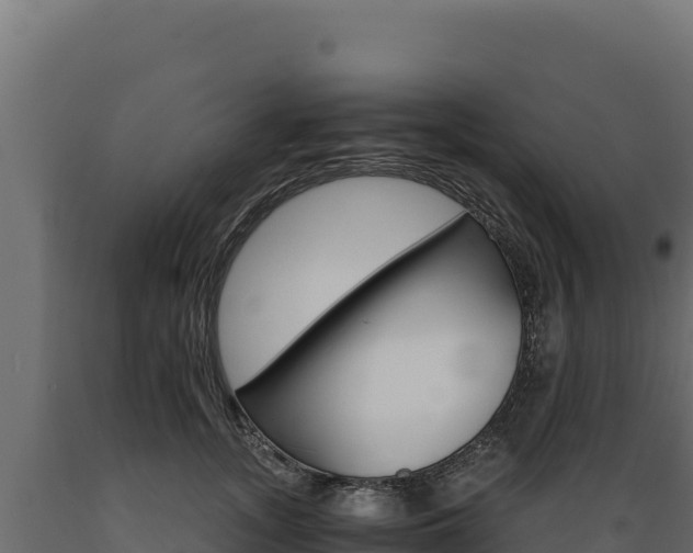 X0000089940755200707061100