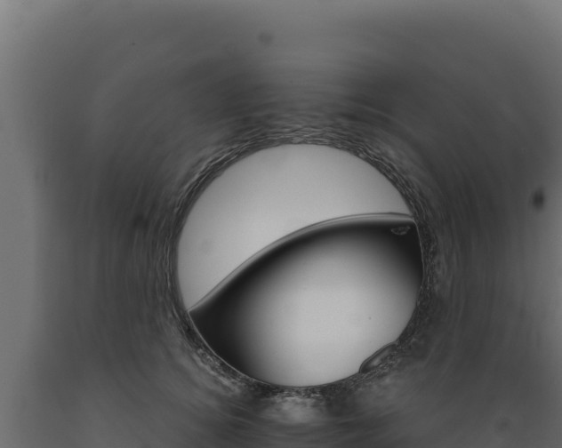 X0000089940756200707061100