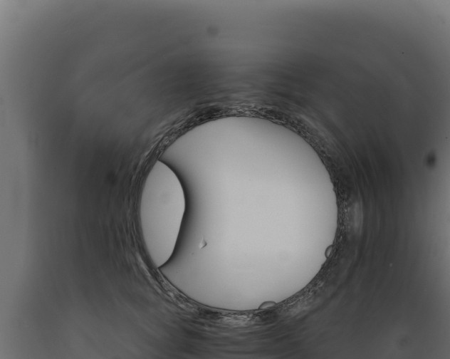 X0000089940757200707061100