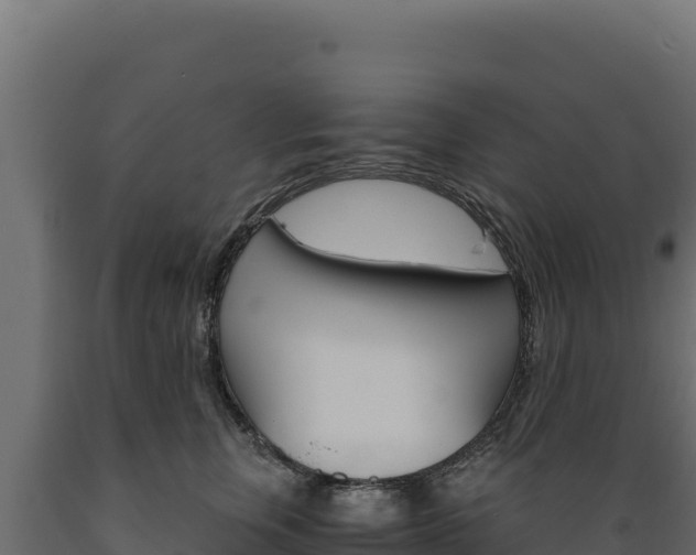 X0000089940759200707061100