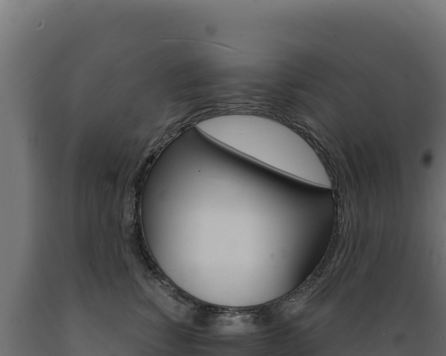 X0000089940760200707061100