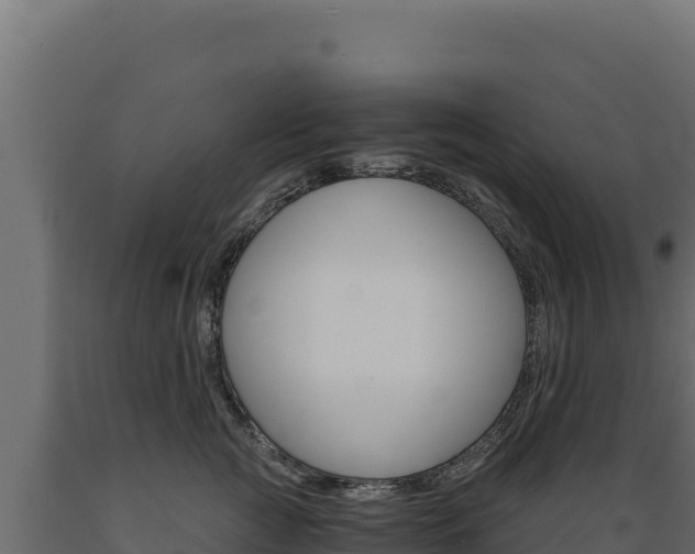 X0000089940761200707061100