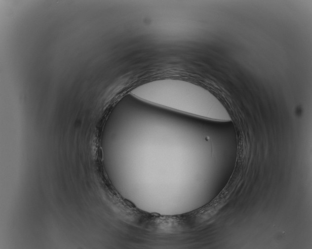 X0000089940762200707061100