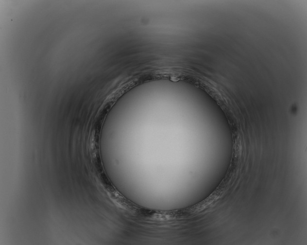 X0000089940764200707061100