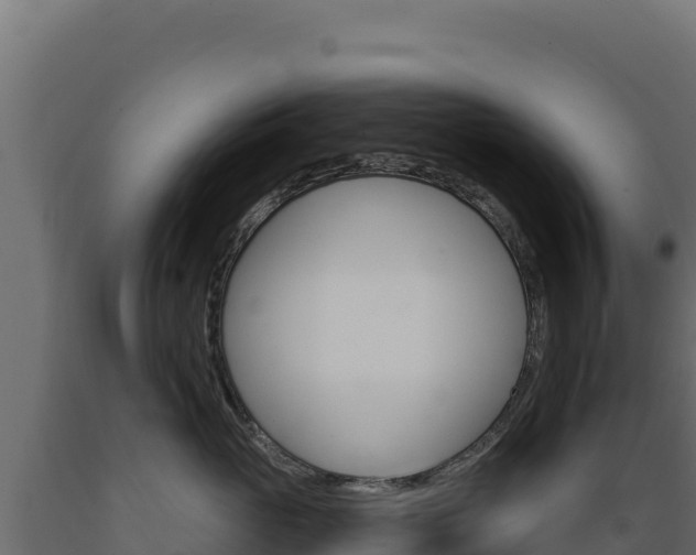 X0000089940765200707061100