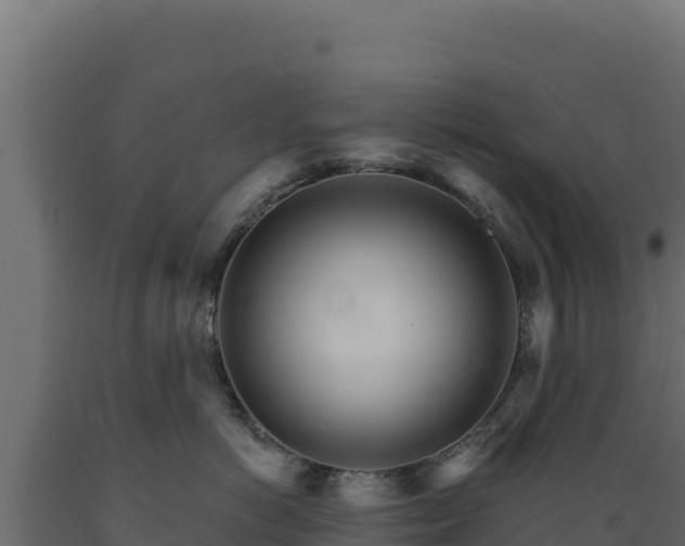 X0000089940766200707061100