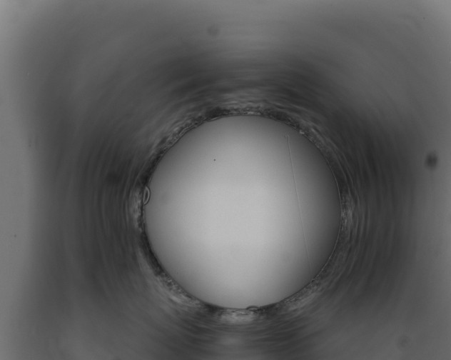 X0000089940767200707061100