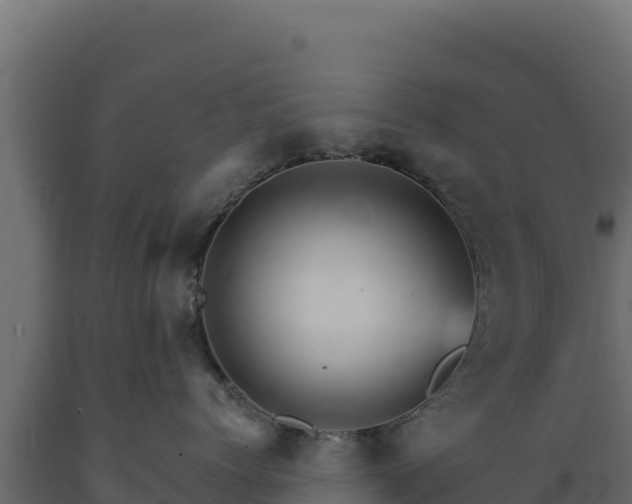 X0000089940768200707061100