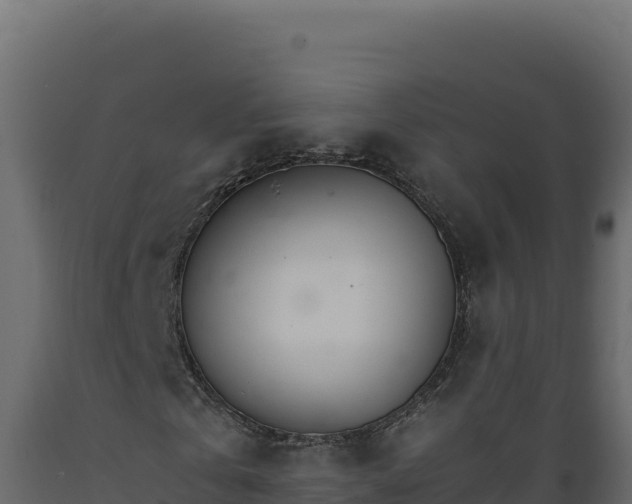 X0000089940769200707061059