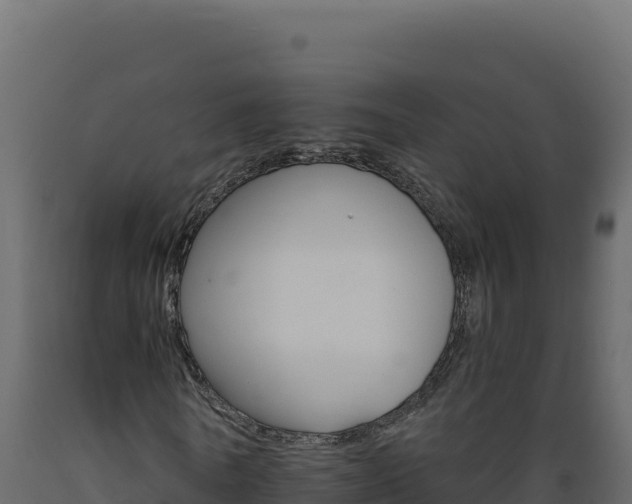 X0000089940770200707061059