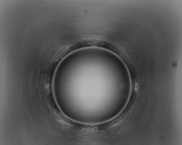 X0000089940771200707061059