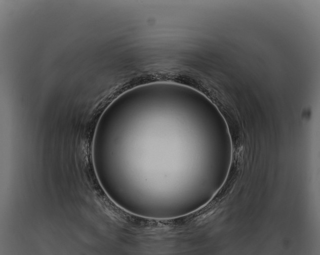 X0000089940772200707061059