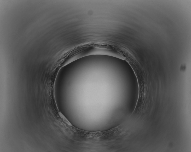 X0000089940773200707061059