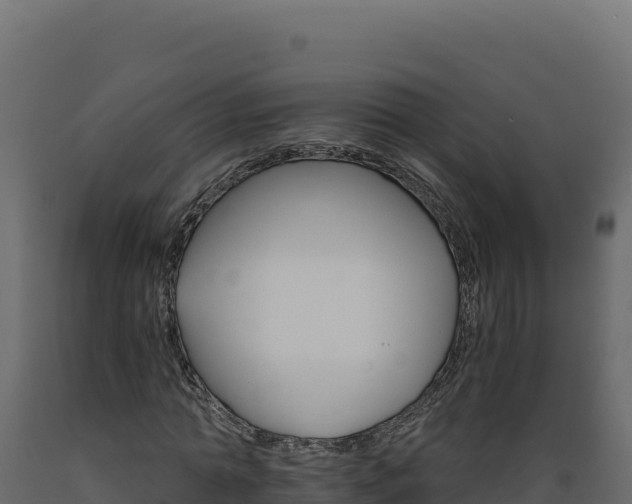 X0000089940774200707061059