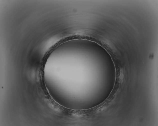 X0000089940776200707061059