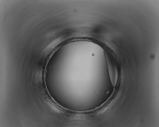 X0000089940777200707061059