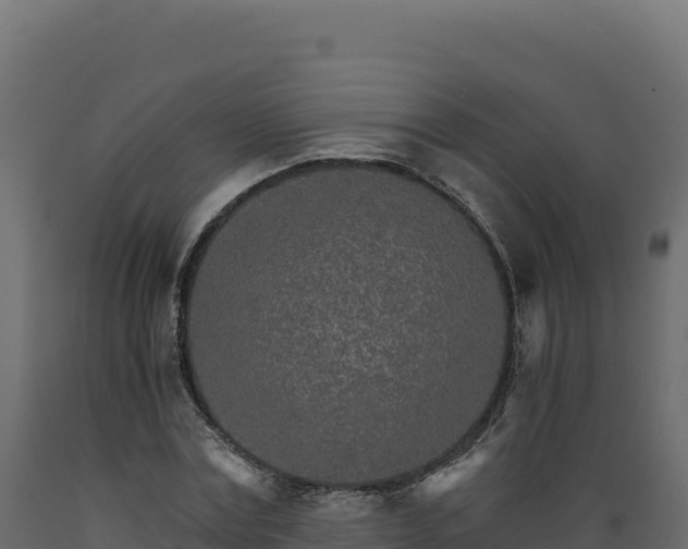 X0000089940779200707061059