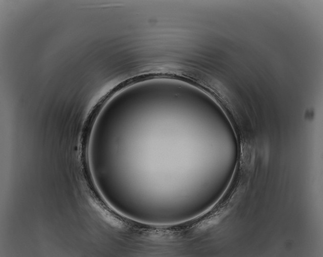 X0000089940780200707061059