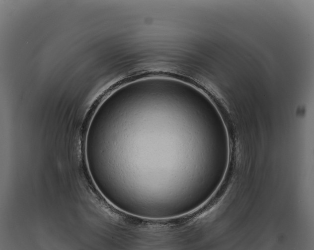 X0000089940782200707061059