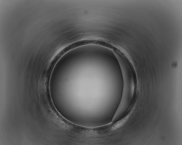 X0000089940783200707061059