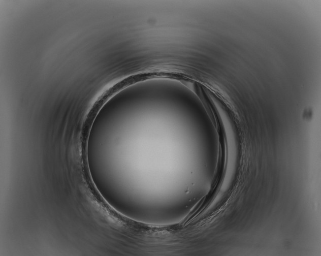 X0000089940784200707061059