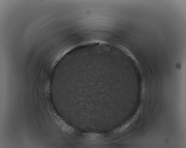 X0000089940785200707061059