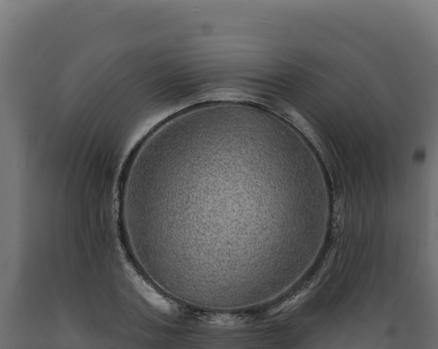 X0000089940787200707061059