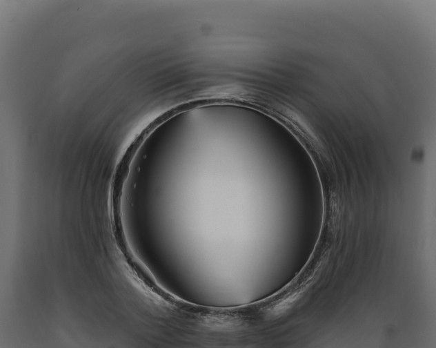 X0000089940788200707061059