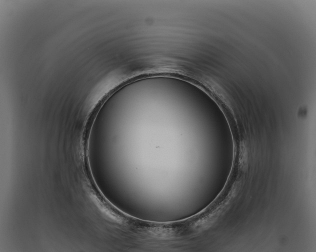 X0000089940789200707061059