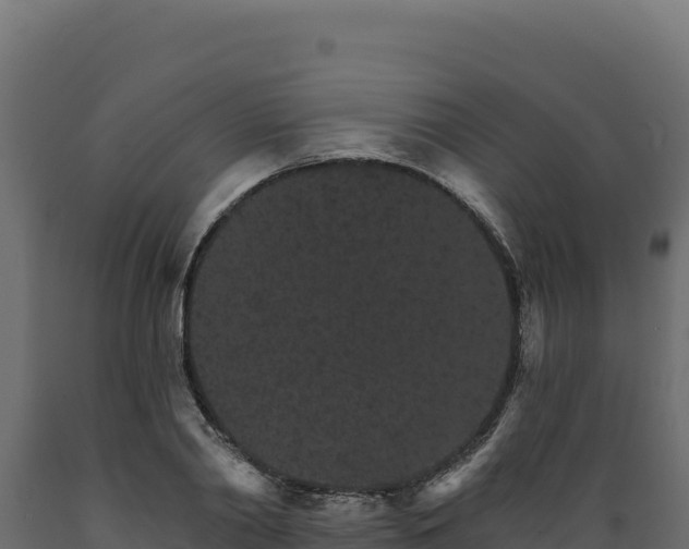 X0000089940790200707061059