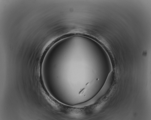 X0000089940791200707061059