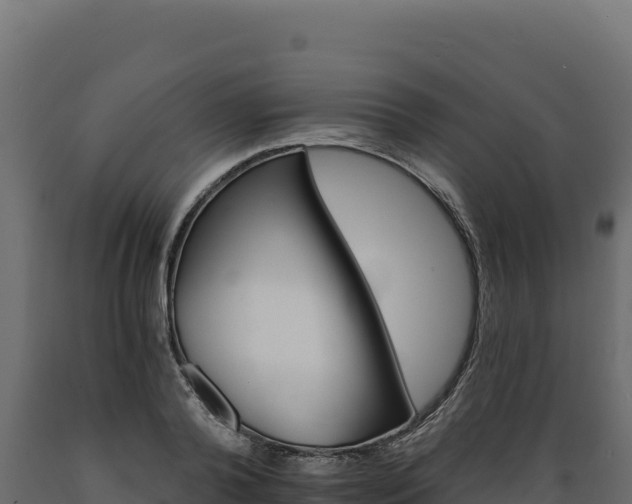 X0000089940792200707061059