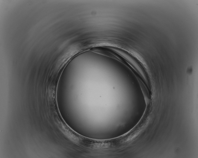 X0000089940793200707061059