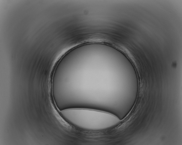 X0000089940795200707061059