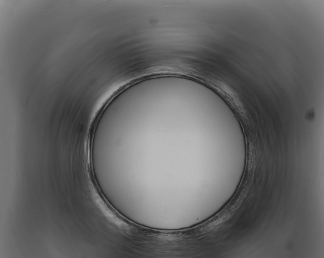 X0000089940796200707061059